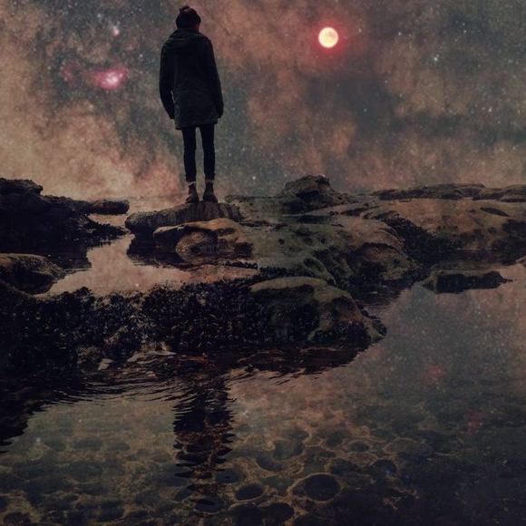 Meet your Posher, Jasmine - Picture 1 of 1